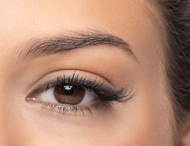 Natürliche Augenbrauen werden mit einer Bürste und einem Pinsel geschminkt | ARTDECO 